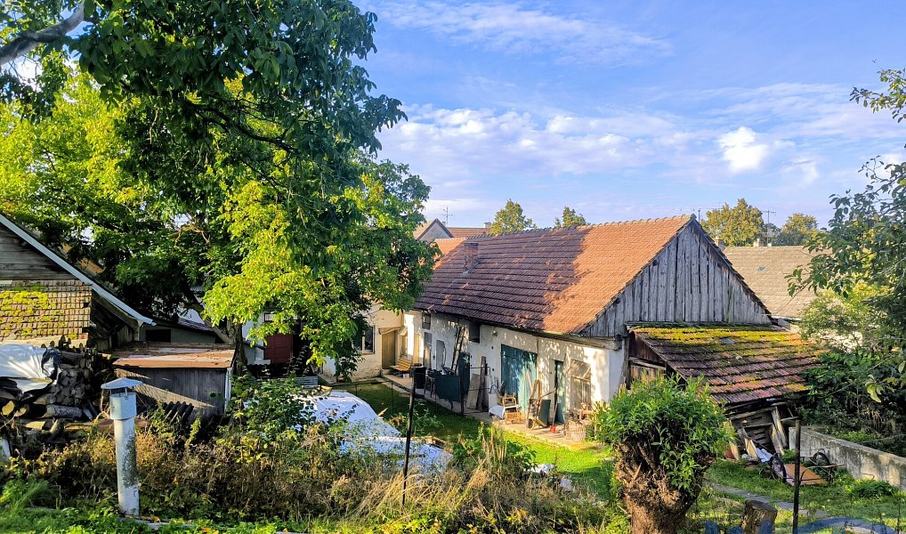Prodej domu 114 m² s pozemkem 2 595 m², Čáslavice – náhled fotky 3