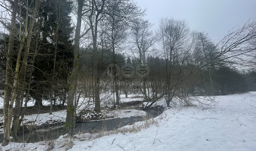 Prodej lesa 43 832 m², Příkrý – náhled fotky 2