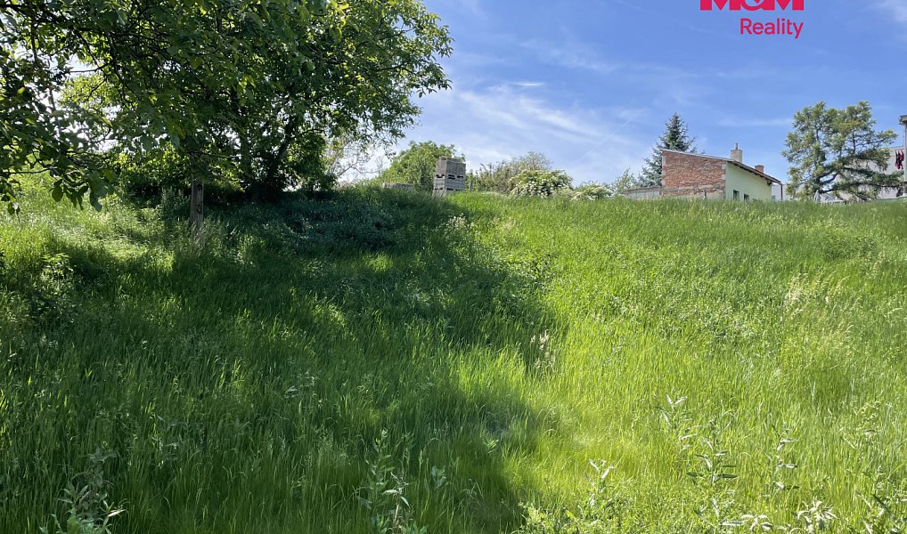 Prodej stavebního pozemku 7 245 m², Holubice – náhled fotky 8