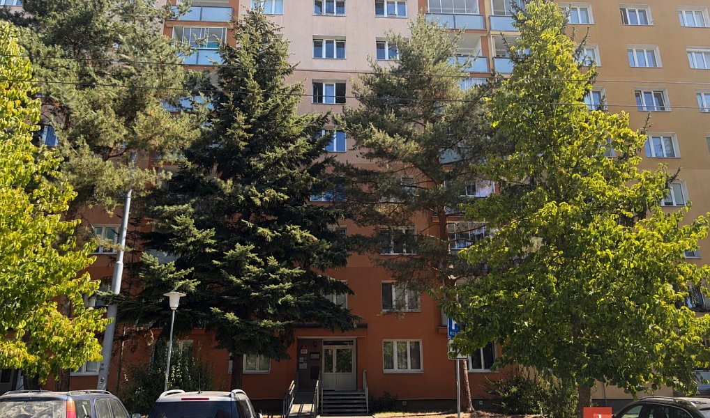 Pronájem bytu 2+1 66 m², Plzeň – náhled fotky 13