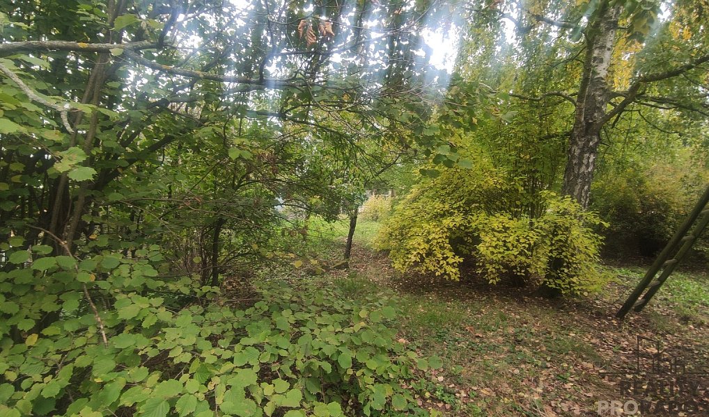 Prodej stavebního pozemku 751 m², Nové Sady – náhled fotky 8