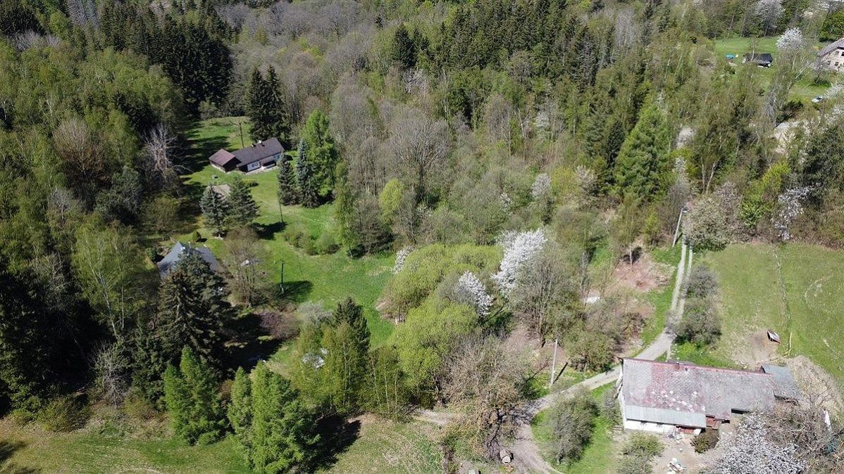 Fotka 6 z 16