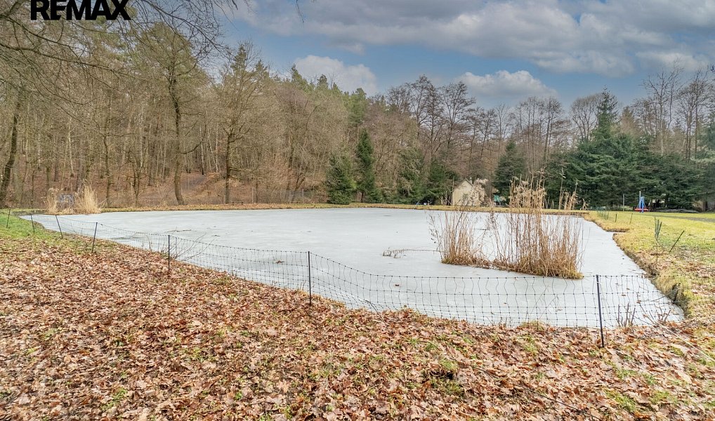 Prodej chaty/chalupy 100 m² s pozemkem 13 525 m², Říčany – náhled fotky 19