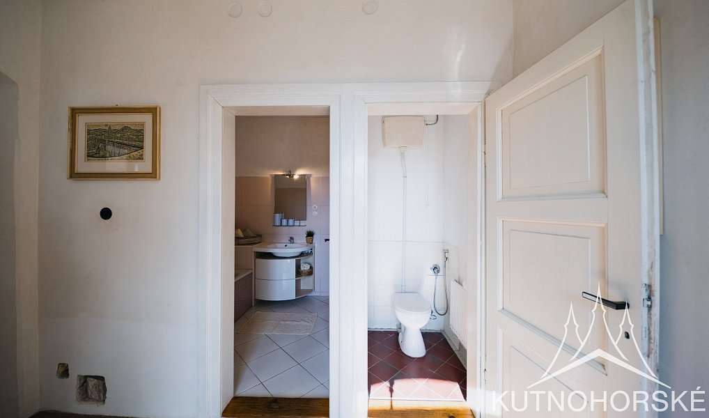 Prodej domu 414 m² s pozemkem 1 000 m², Velenka – náhled fotky 20