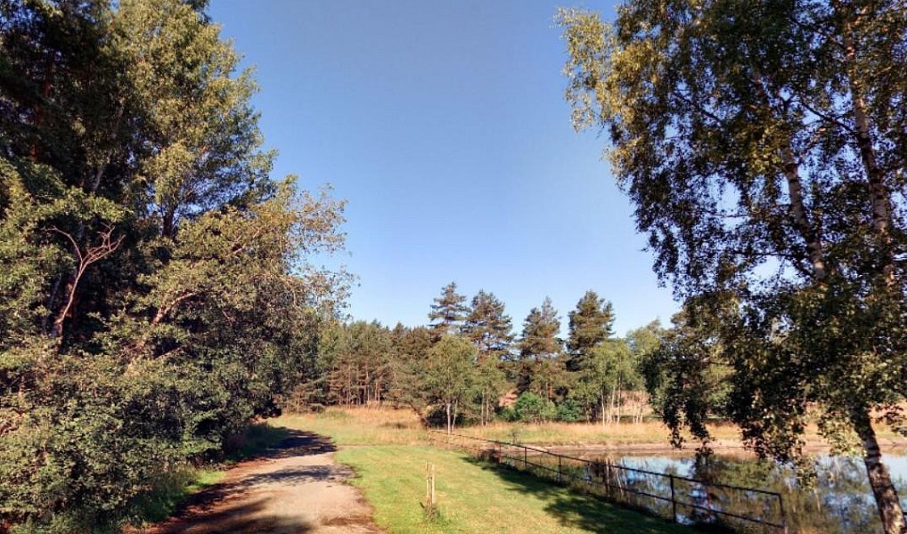 Prodej louky 4 893 m², Úněšov – náhled fotky 4