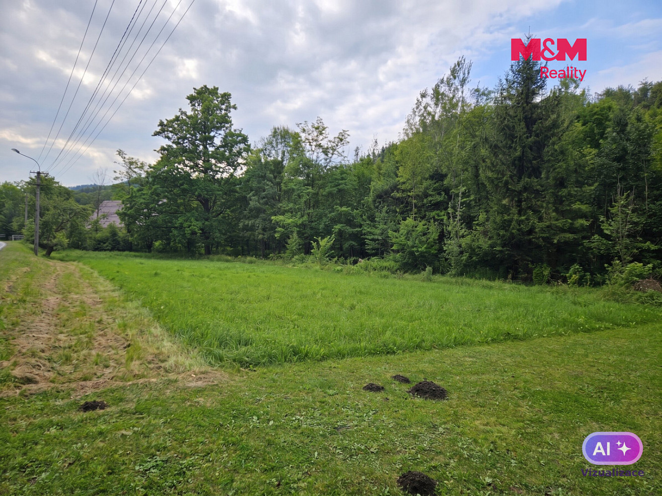 Prodej louky 2 079 m² – fotografie 4