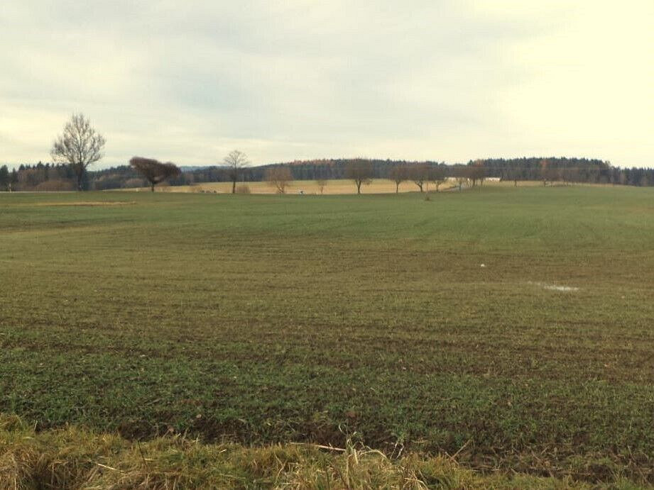 Prodej pole 9 169 m² – fotografie 3