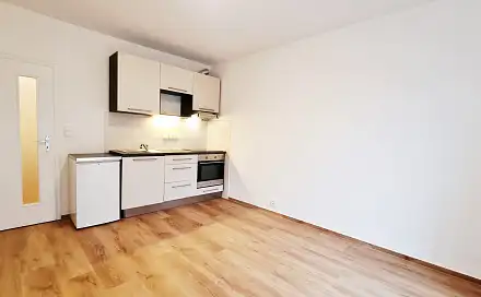 Pronájem bytu 1+kk 25 m², Karáskovo náměstí, Brno - Židenice