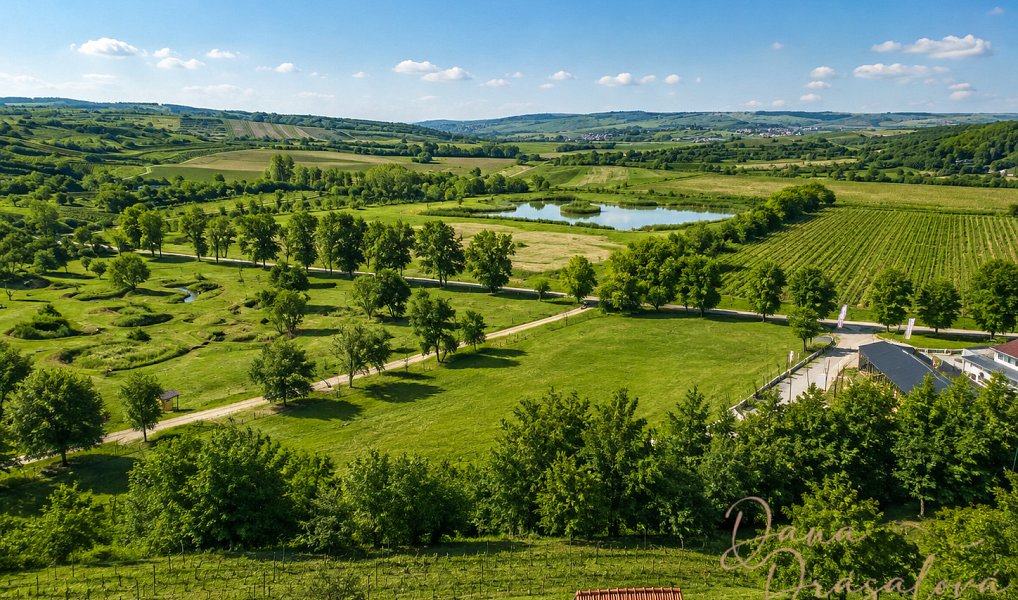 Prodej komerčního pozemku 7 238 m², Velké Pavlovice – náhled fotky 2