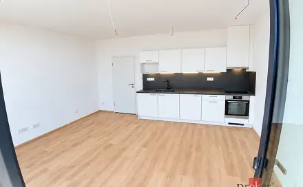 Pronájem bytu 1+kk 42 m², Železná, Plzeň - Jižní Předměstí
