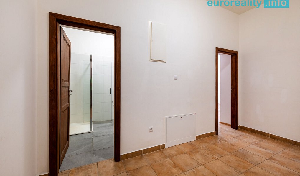 Pronájem bytu 3+kk 58 m², Luby – náhled fotky 10