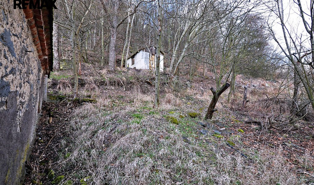 Prodej stavebního pozemku 1 124 m², Třebušín – náhled fotky 14