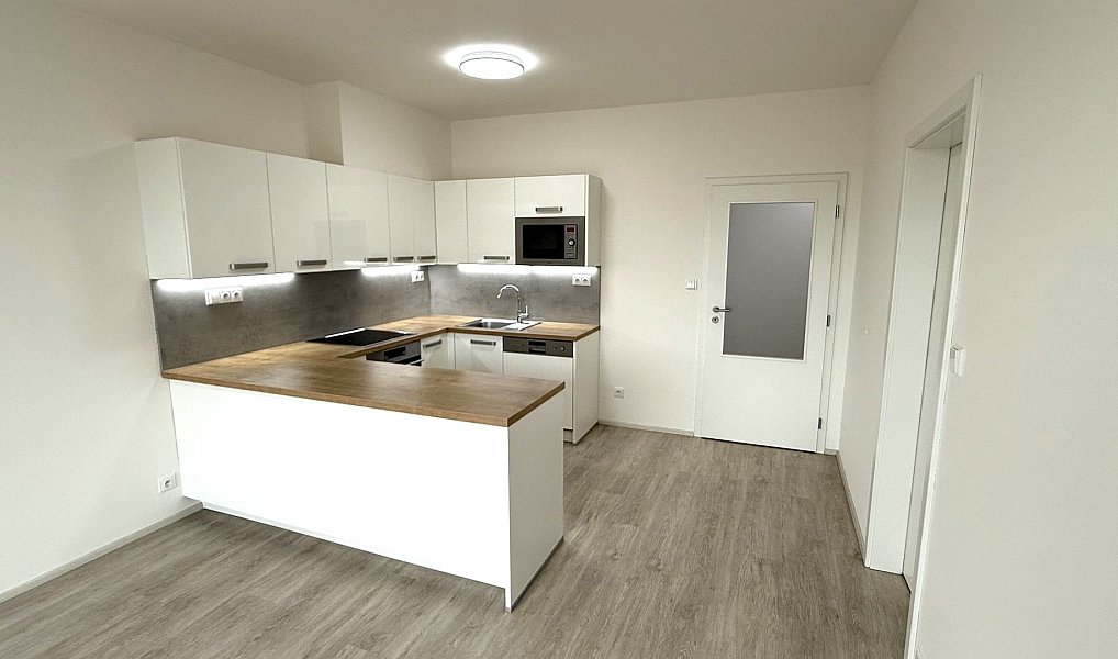 Pronájem bytu 2+kk 59 m², Plzeň – náhled fotky 2