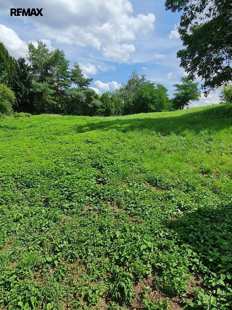 Fotka 15 z 15