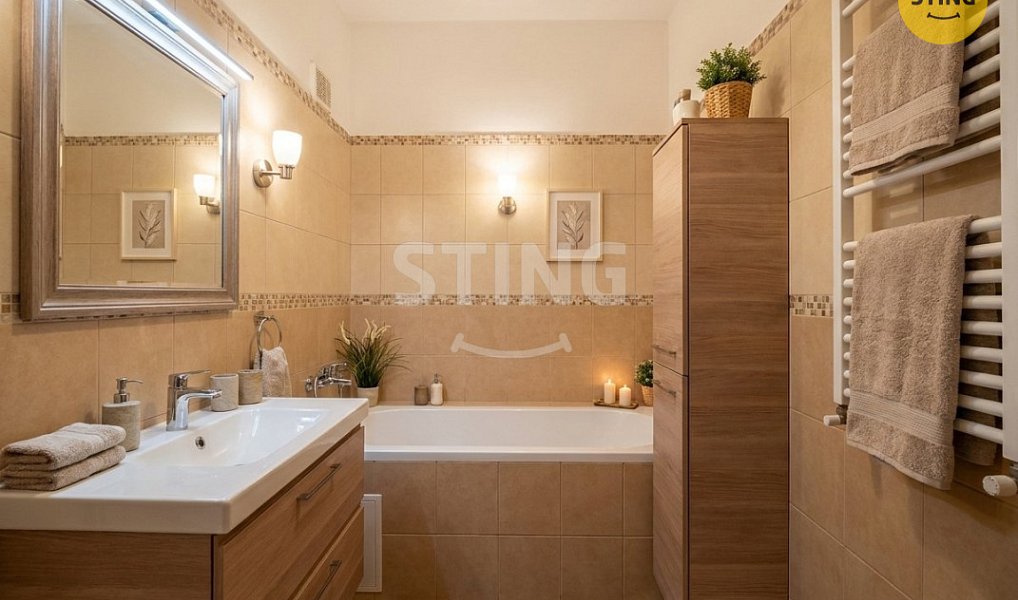 Prodej bytu 2+1 47 m², Horní Benešov – náhled fotky 15
