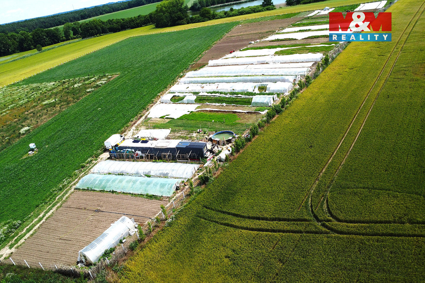 Prodej pole 18 000 m² – fotografie 5