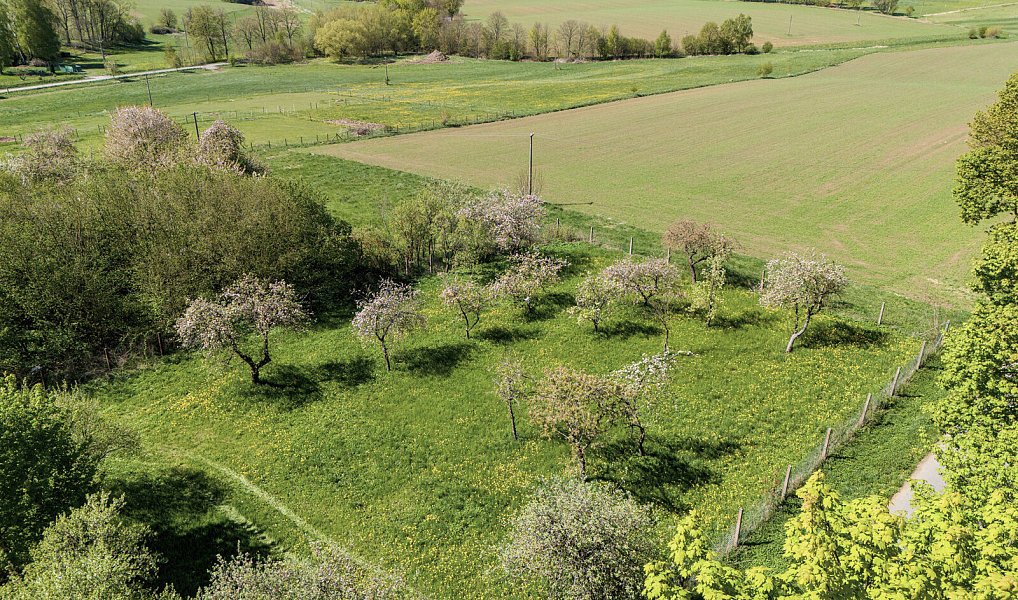 Prodej stavebního pozemku 1 102 m², Chrtníč – náhled fotky 5