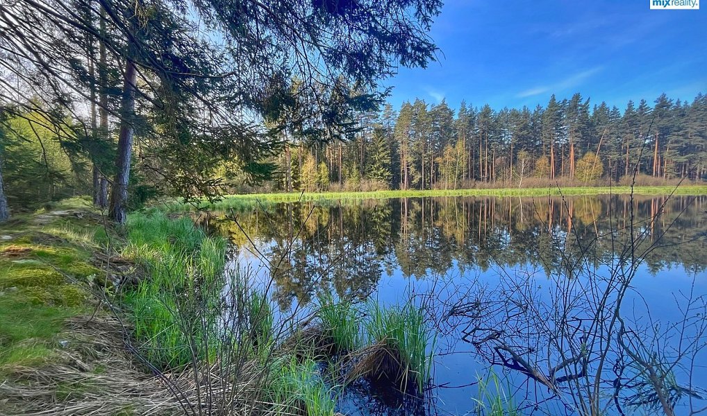 Prodej vodní plochy 16 545 m², Trstěnice – náhled fotky 6