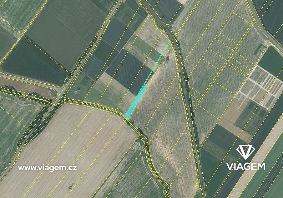 Prodej pole 998 m² – fotografie 3