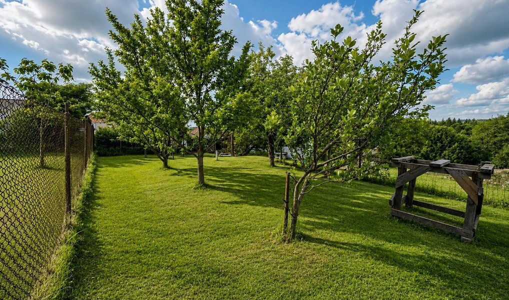 Prodej domu 183 m² s pozemkem 1 100 m², Dačice – náhled fotky 30