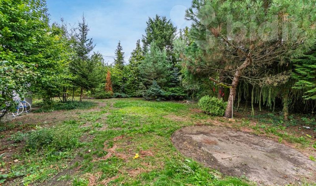 Prodej domu 233 m² s pozemkem 1 063 m², Letkov – náhled fotky 7
