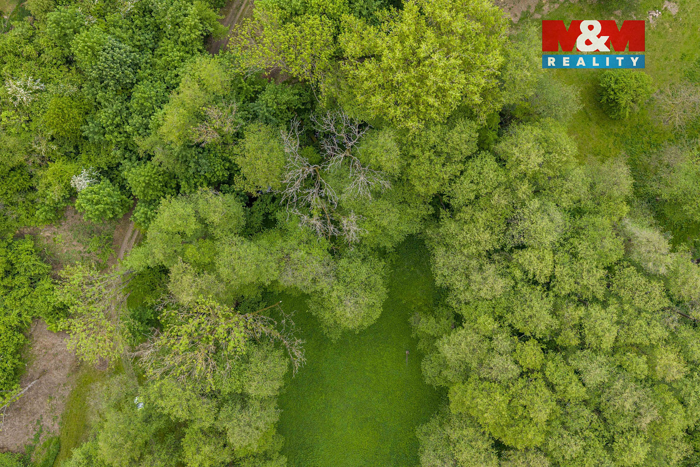 Prodej lesa 491 m² – fotografie 2