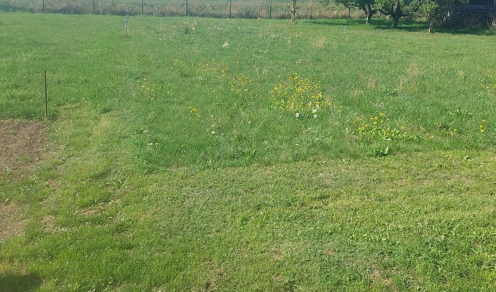 Prodej domu 60 m² s pozemkem 1 306 m², Vyšehořovice – náhled fotky 6