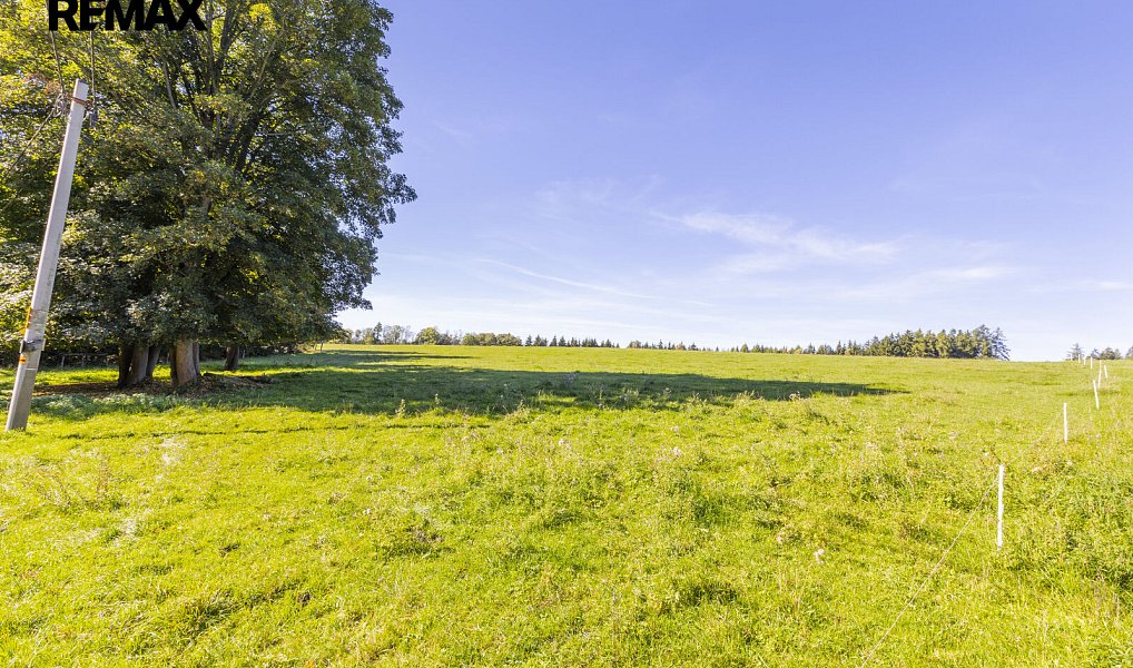 Prodej stavebního pozemku 4 759 m², Teplice nad Metují – náhled fotky 7