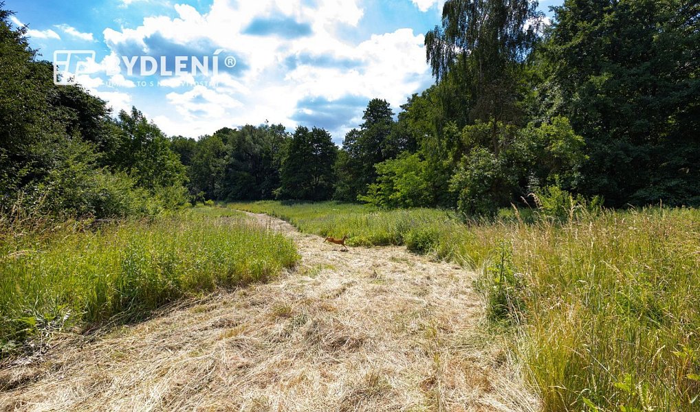 Prodej stavebního pozemku 5 381 m², Velemín – náhled fotky 5