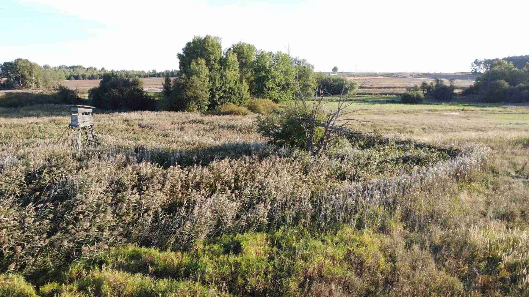 Prodej pozemku 951 m² – fotografie 2
