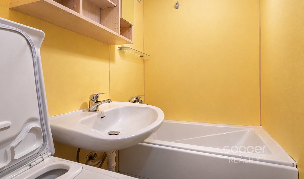 Pronájem bytu 1+kk 29 m², Praha – náhled fotky 3