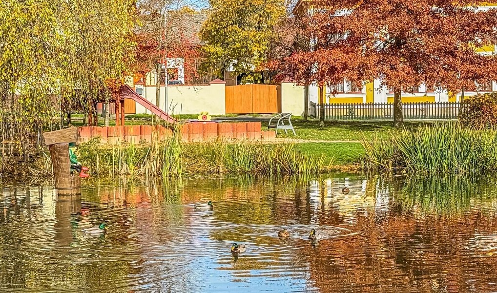 Prodej stavebního pozemku 1 360 m², Drmoul – náhled fotky 18
