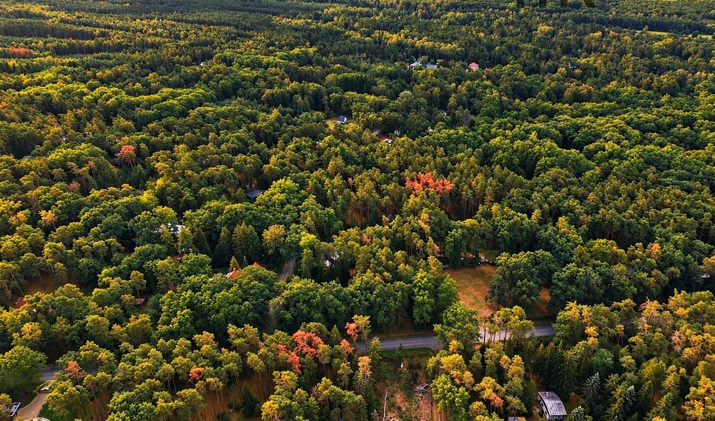 Prodej stavebního pozemku 4 383 m², Hradištko – náhled fotky 13