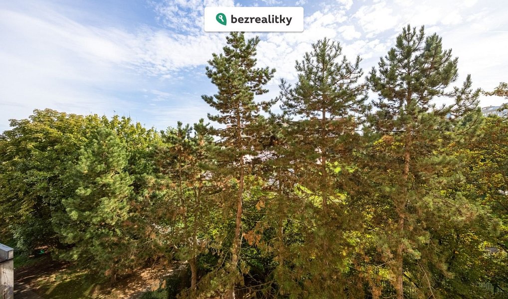 Prodej bytu 2+kk 45 m², Praha – náhled fotky 11