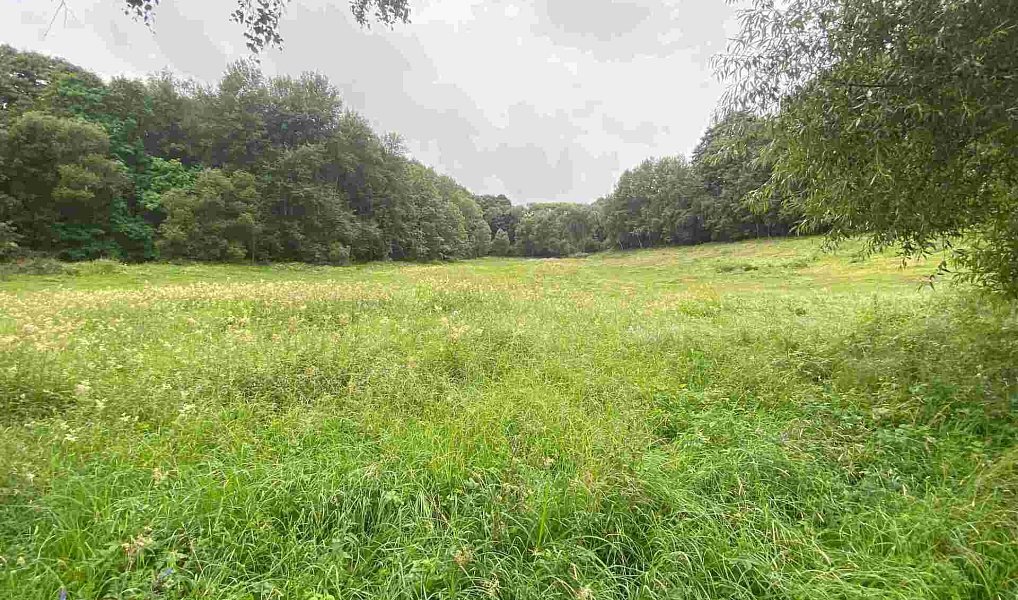 Prodej pozemku 1 500 m², Úterý – fotka 1 z 4
