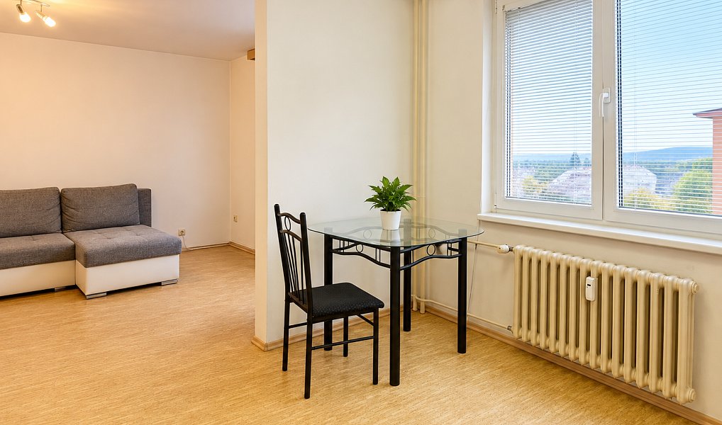 Pronájem bytu 1+kk 48 m², Opočno – náhled fotky 2