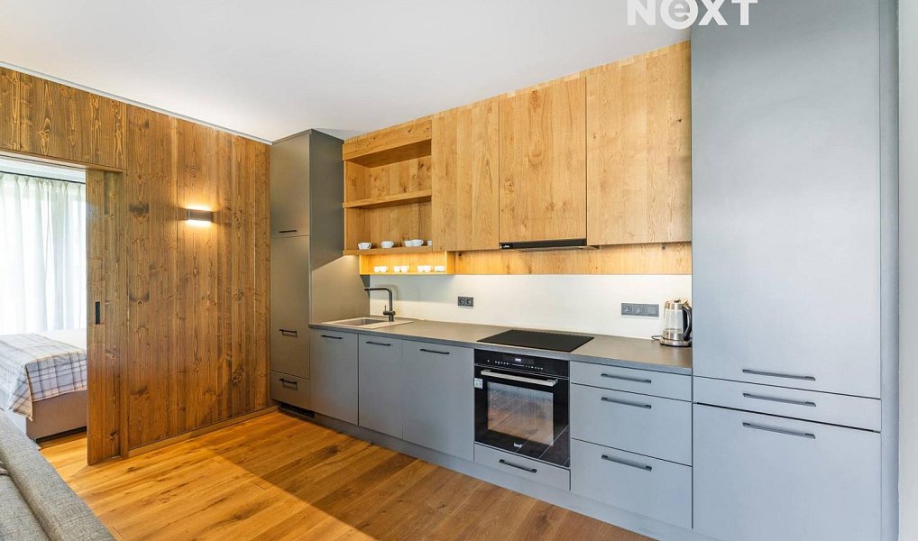 Prodej bytu 2+kk 57 m², Vítkovice – náhled fotky 4