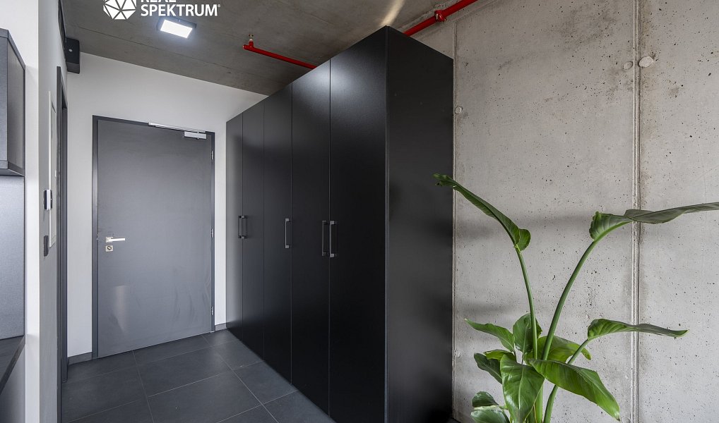 Pronájem bytu 1+kk 35 m², Brno – náhled fotky 9