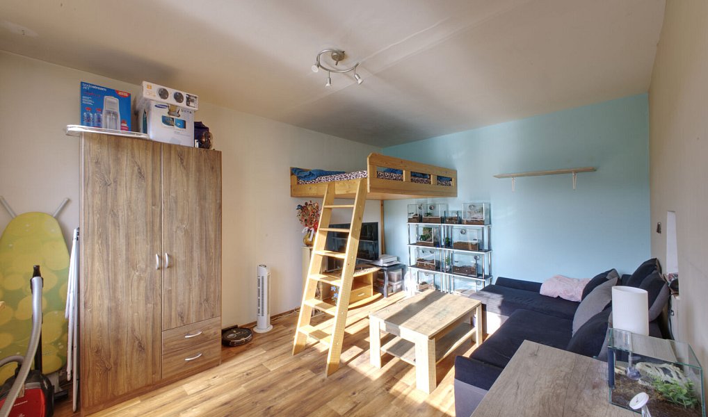 Pronájem bytu 1+1 37 m², Plzeň – náhled fotky 2