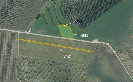 Prodej pole 6 008 m², Kobylí, okres Břeclav