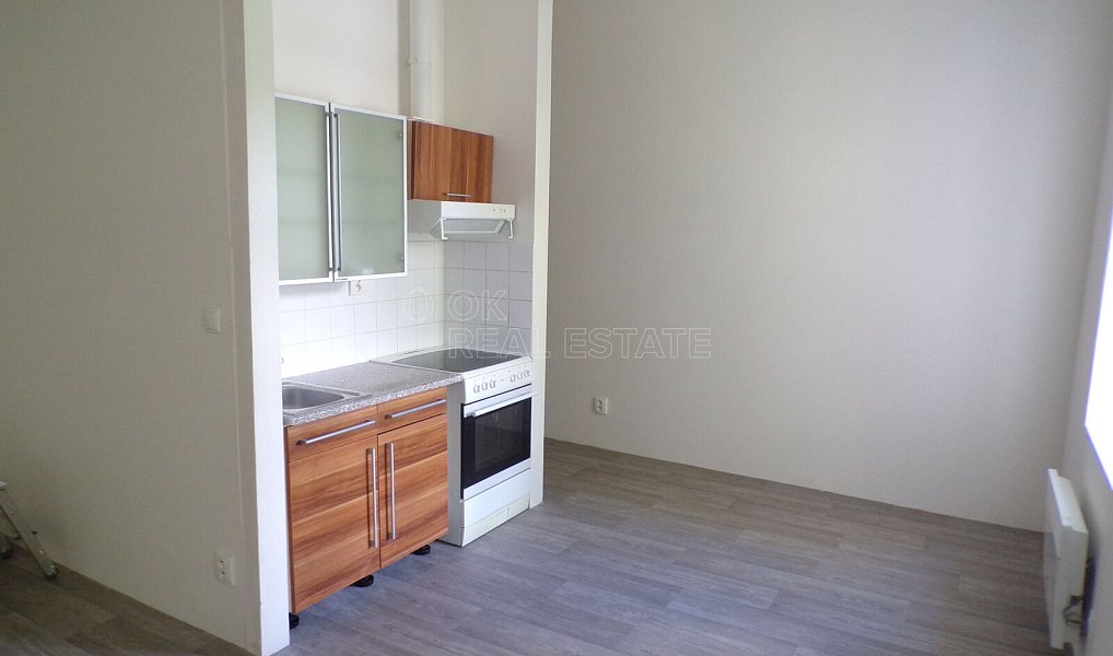 Pronájem bytu 1+kk 30 m², Nový Bor – náhled fotky 3