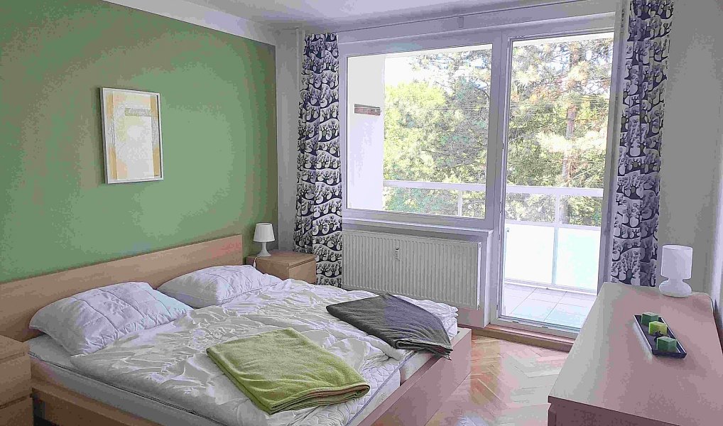Pronájem bytu 2+1 60 m², Karlovy Vary – náhled fotky 9