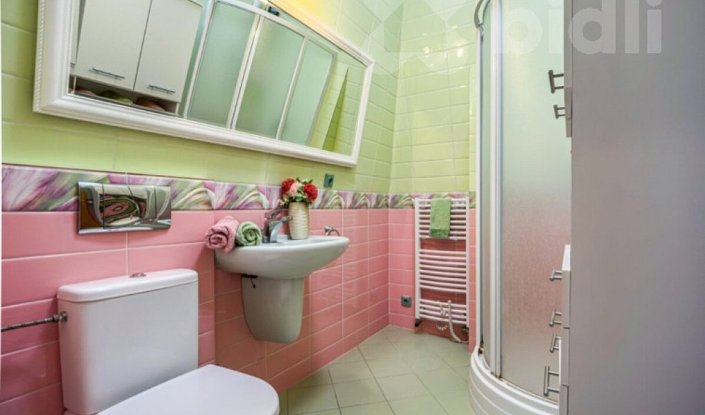Prodej domu 256 m² s pozemkem 1 249 m², Středokluky – náhled fotky 16