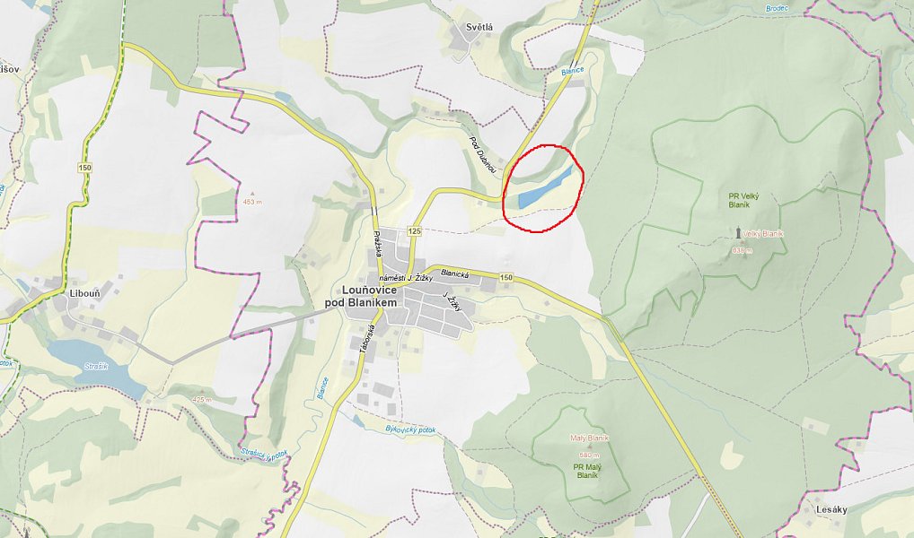 Prodej pozemku 23 891 m², Louňovice pod Blaníkem – náhled fotky 3