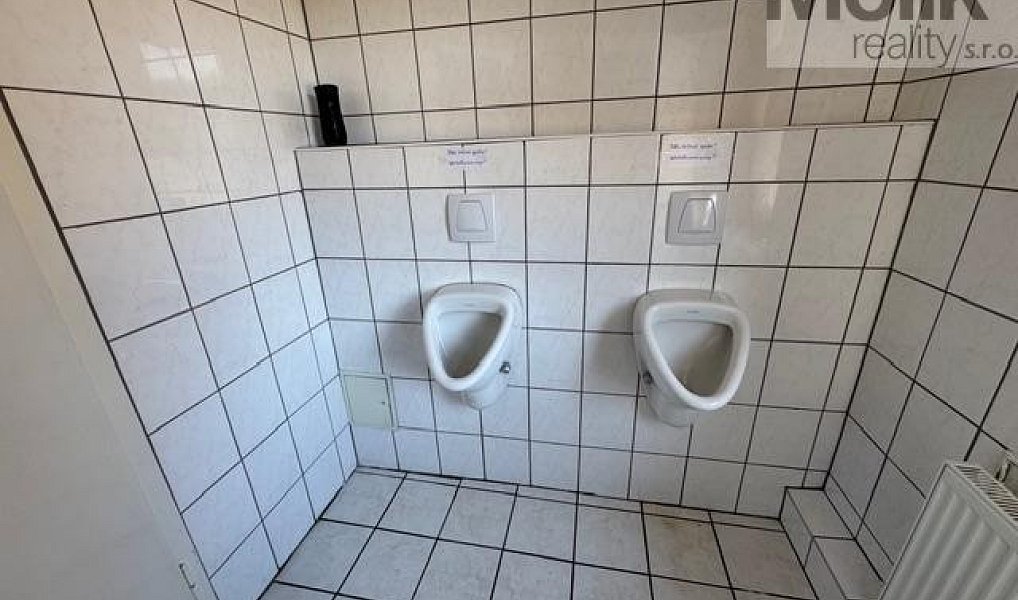 Prodej ubytovacího objektu 1 753 m², Český Jiřetín – náhled fotky 22