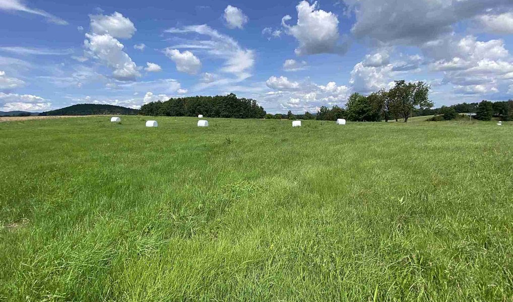 Prodej pole 55 481 m², Lhenice – náhled fotky 10