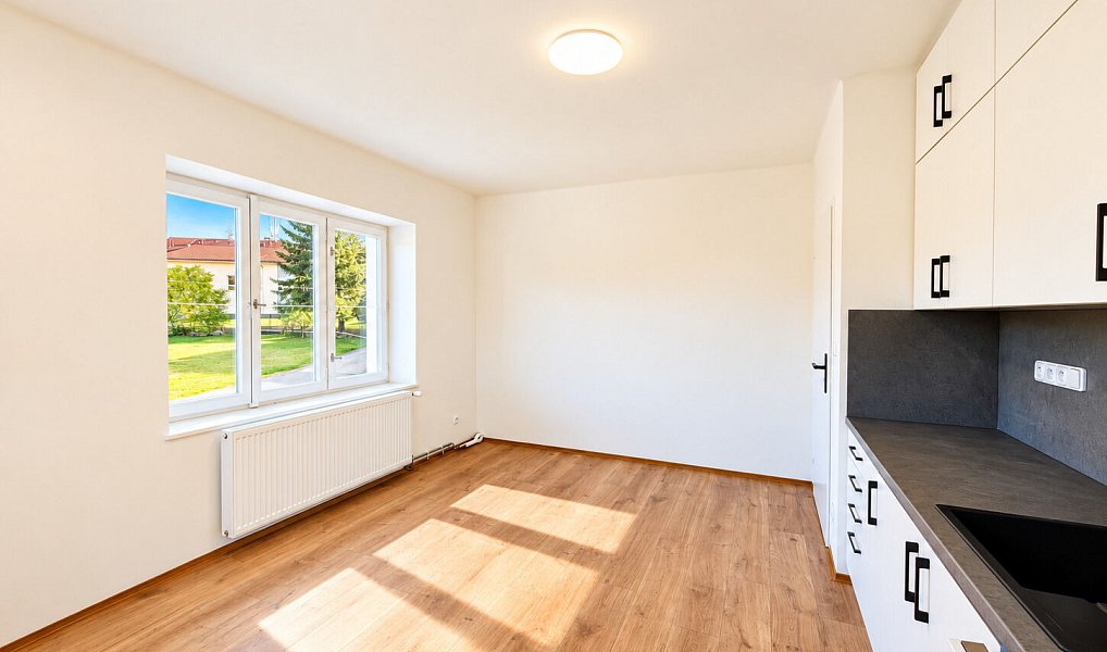 Prodej komerčního objektu (jiného typu) 218 m², Nečín – náhled fotky 4