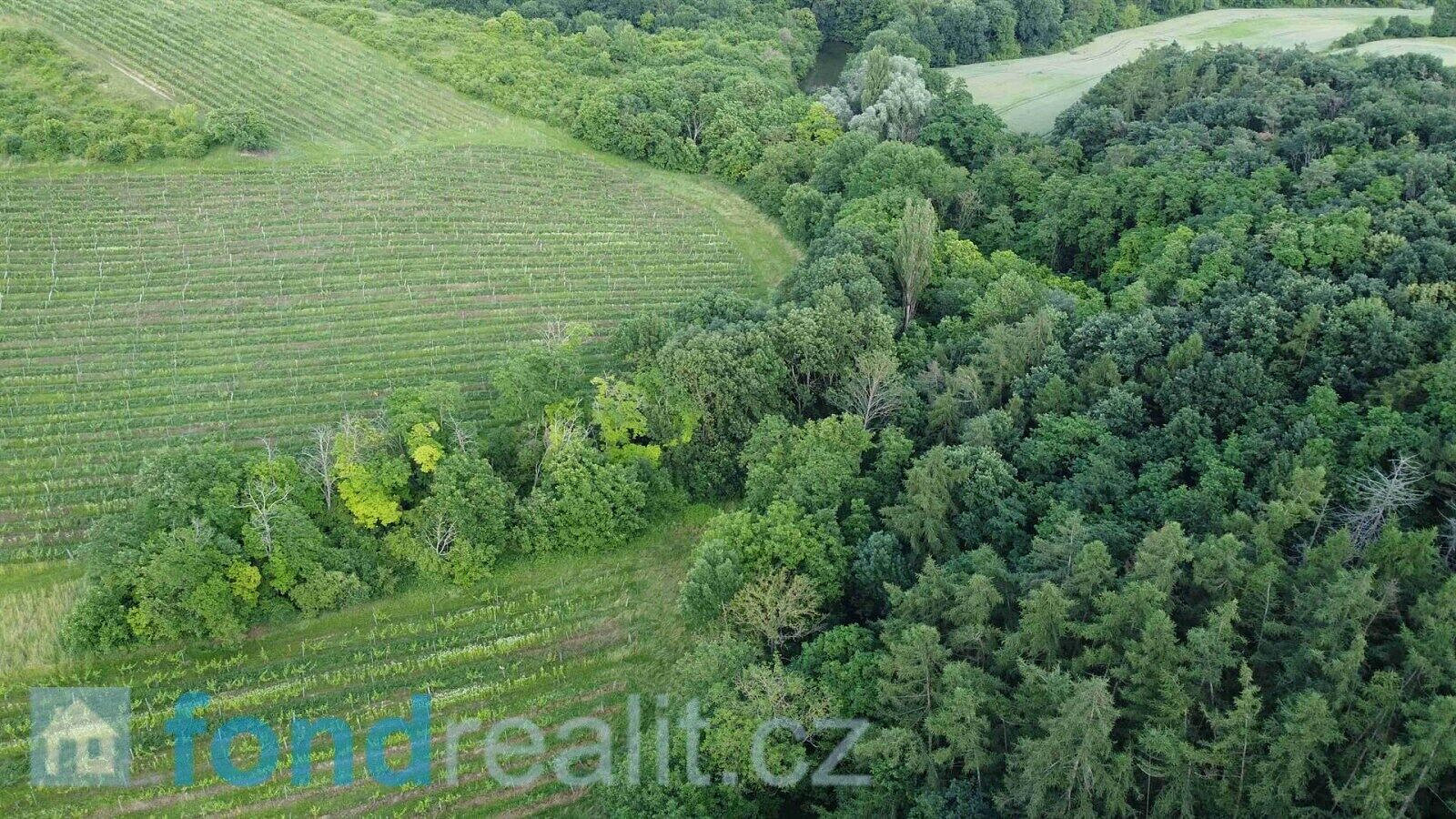 Prodej pozemku 4 351 m² – fotografie 2