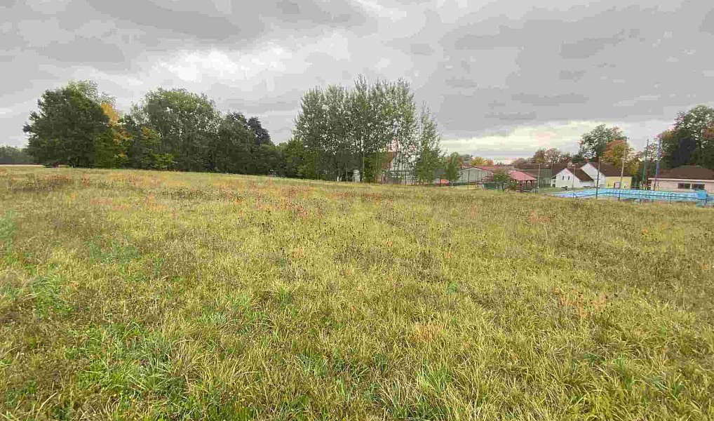Prodej pozemku 15 915 m², Mydlovary – náhled fotky 6