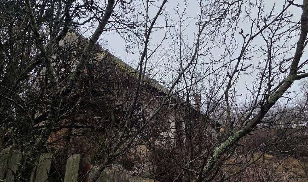 Prodej domu 371 m² s pozemkem 11 770 m², Křižanov – náhled fotky 22